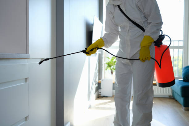 Best Commercial Mold Removal  in North Puyallup, WA