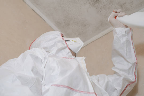 Best Mold Removal Near Me  in North Puyallup, WA